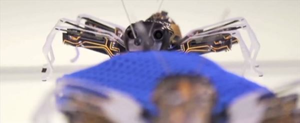 3D Yazıcı ile İşçi Robot Karıncalar Üretildi